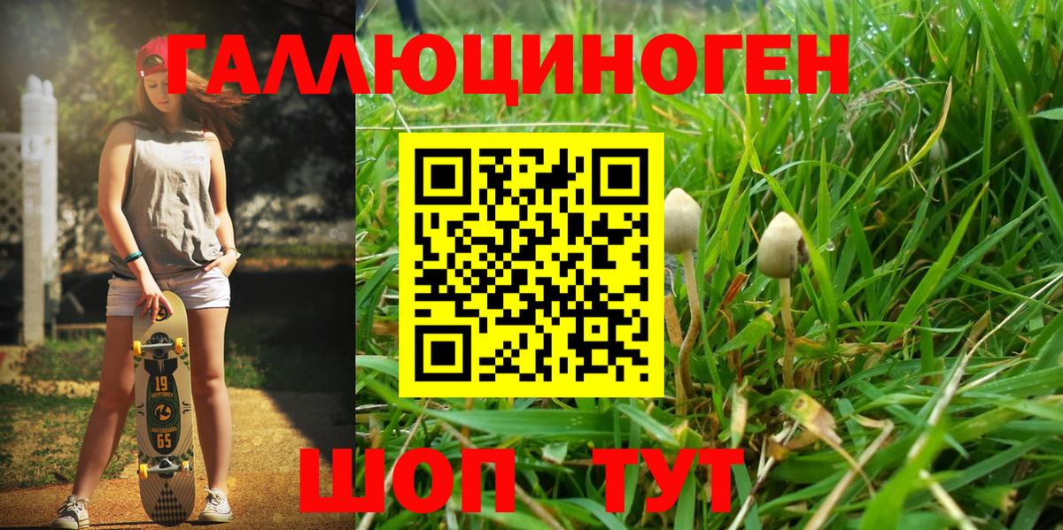 Галлюциногенные грибы Psilocybine cubensis Тавда