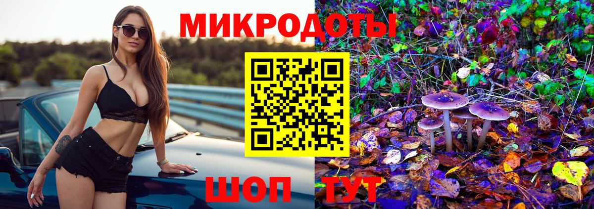 Тавда  Галлюциногенные грибы MAGIC MUSHROOMS  Псилоцибиновые грибы Cubensis  Вход с VPN 